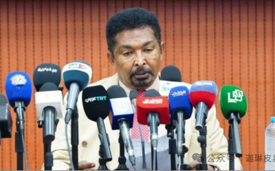 苏丹每年扔掉一半动物皮，损失数百万美元！现在终于要“捡”回来了